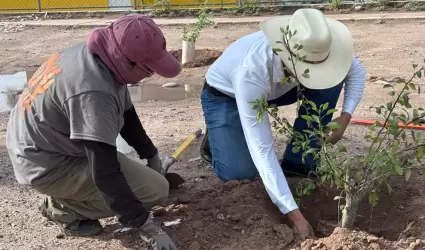 Reforestaci�n Hermosillo
