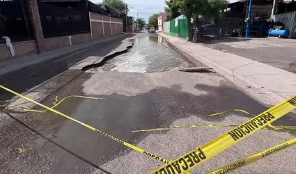 Socav�n en el Sahuaro.