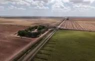 Lidera Sonora crecimiento del campo en el norte del pa�s