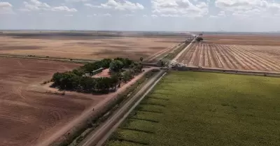 Campo Sonora.