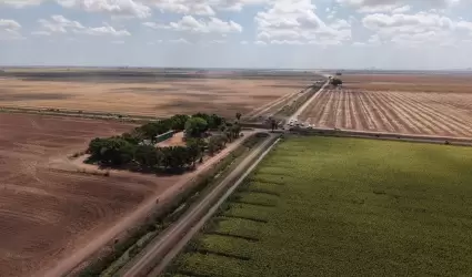 Campo Sonora.