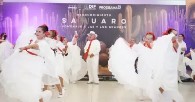 Reconocimiento Sahuaro