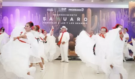 Reconocimiento Sahuaro