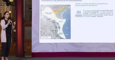 Ana Paulina G�mora Figueroa, investigadora de la Facultad de Ingenier�a de la UN