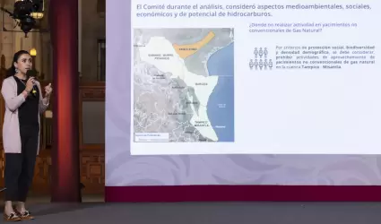 Ana Paulina G�mora Figueroa, investigadora de la Facultad de Ingenier�a de la UN