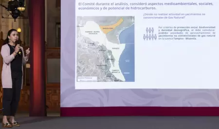 Ana Paulina G�mora Figueroa, investigadora de la Facultad de Ingenier�a de la UN