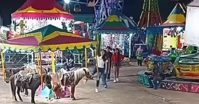 Poni