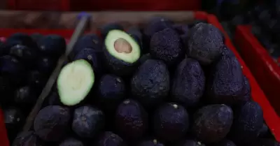 aguacate