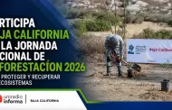 Participa BC en Jornada Nacional de Reforestaci�n 2026 para proteger y recuperar ecosistemas