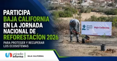 Participa BC en la Jornada Nacional de Reforestaci�n 2026.
