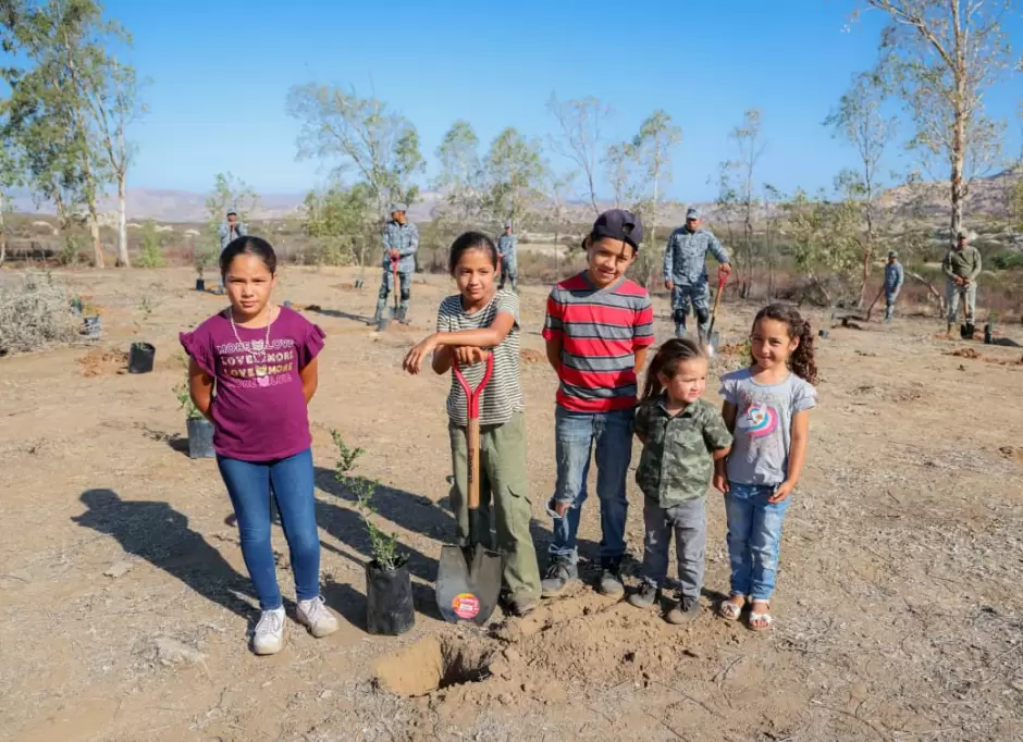 Participa BC en la Jornada Nacional de Reforestaci�n 2026.