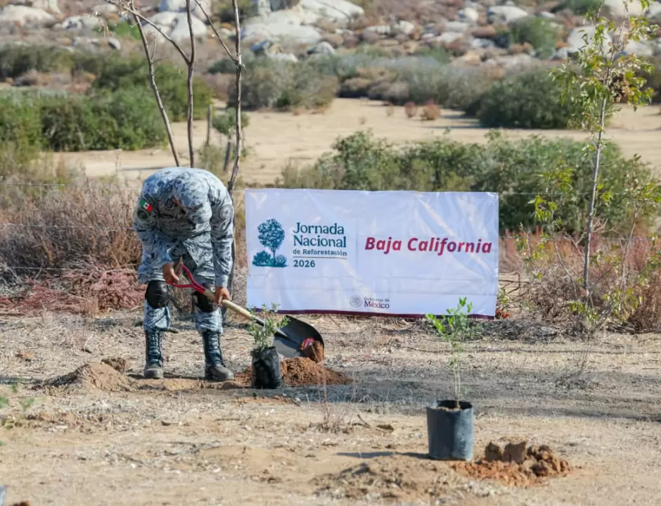 Participa BC en la Jornada Nacional de Reforestaci�n 2026.