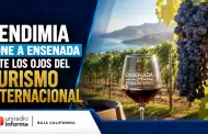 Destacan que Vendimia pone a Ensenada ante los ojos del turismo internacional