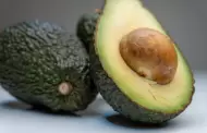 Sheinbaum asegura protecci�n para inspectores y productores de aguacate en Michoac�n