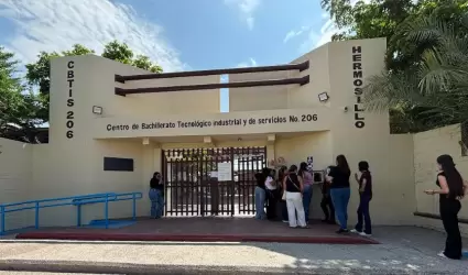Cbtis 206