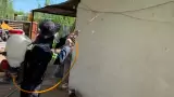 Lucha contra rickettsia