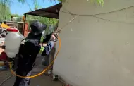 Refuerzan lucha contra rickettsia en Sonora