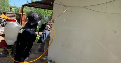 Lucha contra rickettsia