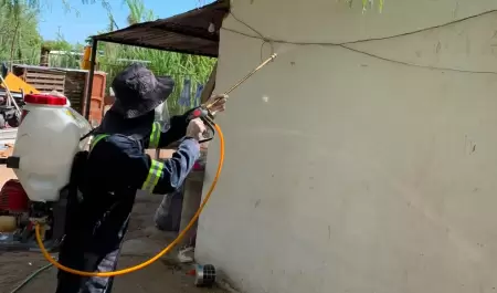 Lucha contra rickettsia