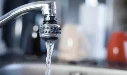 agua, grifo