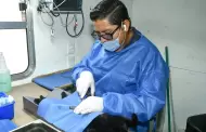 �S�bado de gatitos! Hermosillo ofrece castraciones gratis