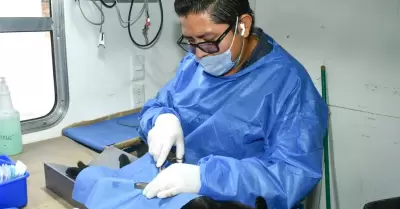 Castraciones