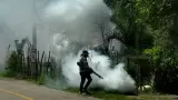 Fumigaci�n contra el dengue