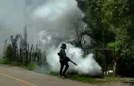 Sonora intensifica fumigaci�n contra el dengue