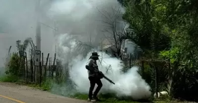 Fumigaci�n contra el dengue