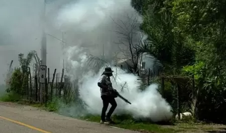 Fumigaci�n contra el dengue