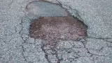 Bache