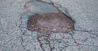 Bache