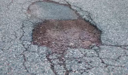 Bache