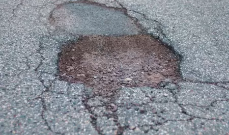 Bache