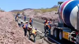 Sonora