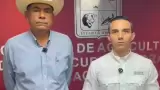 Confirman aparici�n del primer caso de gusano barrenador.