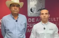 Sonora detecta primer caso de gusano barrenador en ganado