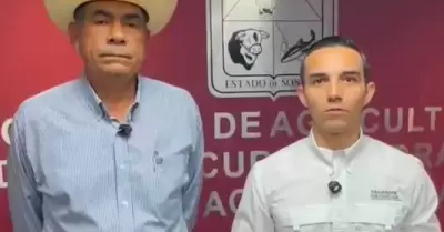 Confirman aparici�n del primer caso de gusano barrenador.