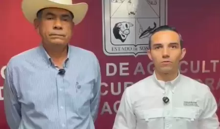 Confirman aparici�n del primer caso de gusano barrenador.