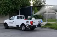 Refuerzan combate al dengue