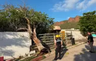 Autoridades atienden afectaciones en Guaymas