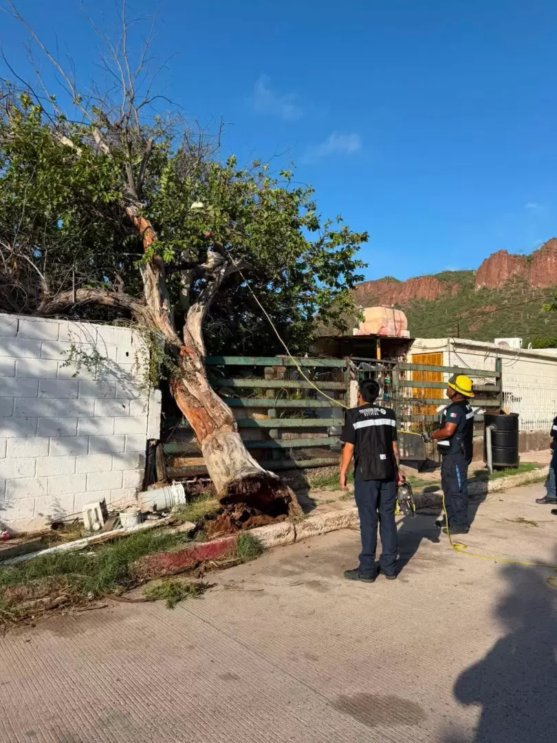 Guaymas