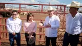 Exportaci�n de ganado