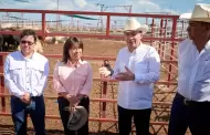 Sonora reanuda exportaci�n de ganado a Estados Unidos