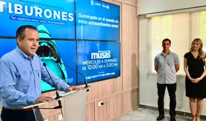 TIBURONES