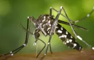 Sonora supera los mil casos de dengue durante 2026