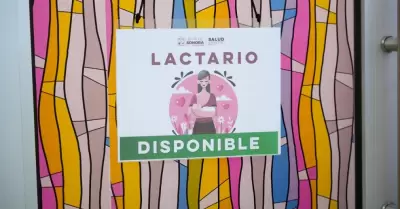 Lactancia Materna