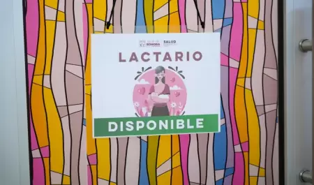 Lactancia Materna