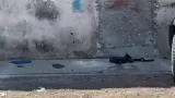 Encuentran sin vida a adulto mayor