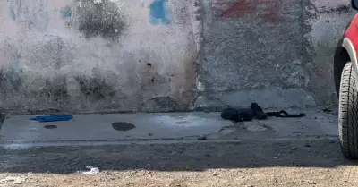 Encuentran sin vida a adulto mayor
